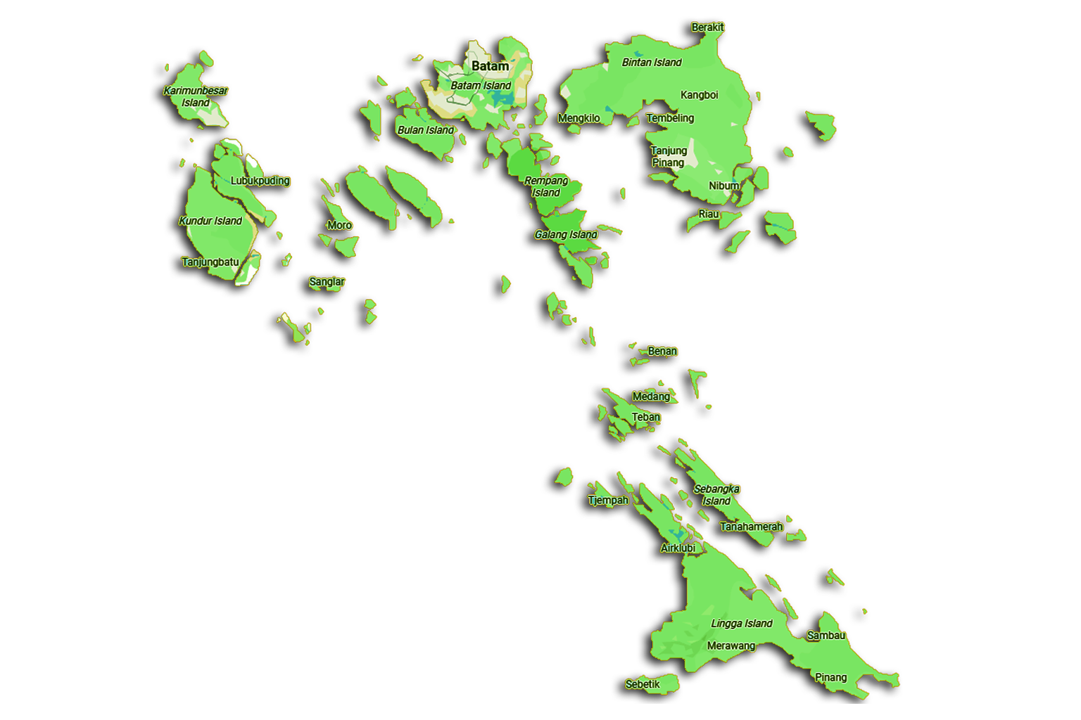 Sago Plantation in Riau Archipelago